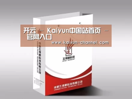项目名称十三